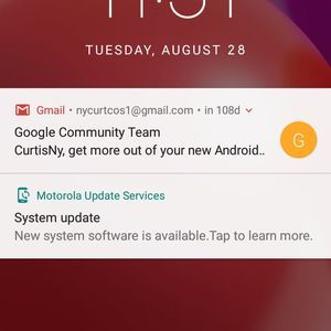 Meet your Posher, Curtisny